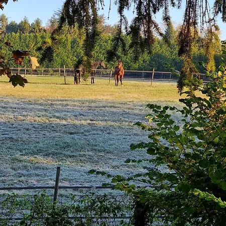 Designer House With Breathtaking View Willa